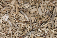 biomass boilers Purston Jaglin